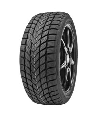 Delinte Winter WD6 215/55 R17 98H
